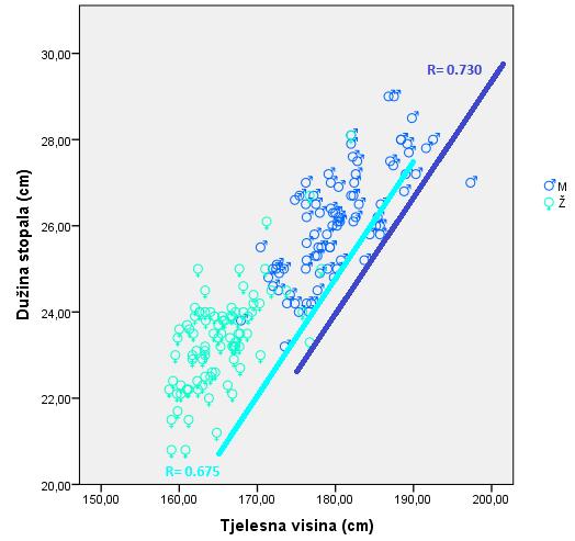 U grafikonu 51. prikazana je pozitivna linearna povezanost između tjelesne visine i dužine stopala kod adolescentske populacije u regionu Mitrovice, za oba pola. Grafikon 51.
