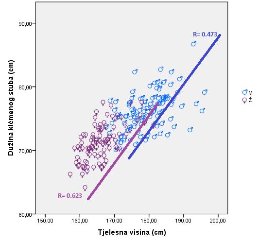 za oba pola. Grafikon 54. Scatter dijagram i povezanost između mjerenja dužine kičmenog stuba i tjelesne visine U grafikonu 55.