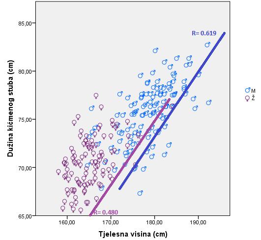 U grafikonu 56. prikazana je linearna korelacija između tjelesne visine i dužine kičmenog stuba kod adolescentske populacije u regionu Prizrena, za oba pola. Grafikon 56.