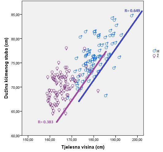 U grafikonu 58. prikazana je linearna korelacija između kičmenog stuba kod adolescentske populacije u regionu Prizrena, za oba pola. tjelesne visine i dužine Grafikon 58.