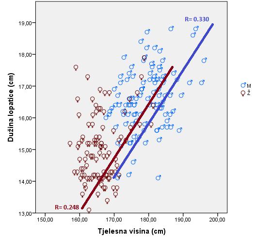 Scatter dijagram i povezanost između mjerenja dužine lopatice i tjelesne visine Nelinearnu povezanost između tjelesne