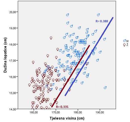 Nelinearnu povezanost između tjelesne visine i dužine lopatice kod adolescentske populacije prikazuje grafikon 70.