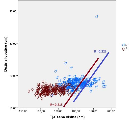 Scatter dijagram i povezanost između mjerenja dužine lopatice i tjelesne visine Nelinearnu povezanost između tjelesne
