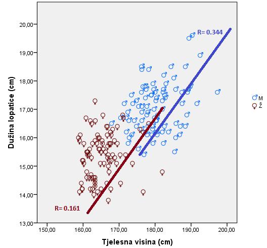 Nelinearnu povezanost između tjelesne visine i dužine lopatice kod adolescentske populacije prikazuje grafikon 72. u regionu Mitrovice, za oba pola. Grafikon 72.