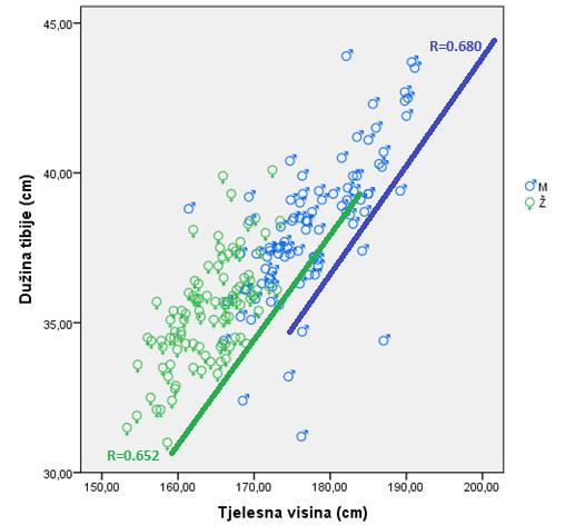 Scatter dijagram i povezanost između mjerenja dužine tibije i tjelesne visine U grafikonu 18.