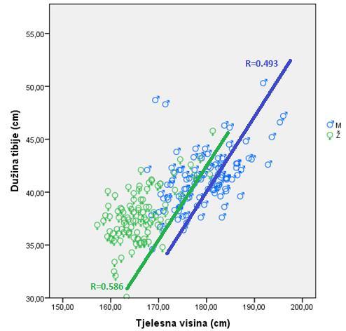 pola. Grafikon 19. Scatter dijagram i povezanost između mjerenja dužine tibije i tjelesne visine U grafikonu 20.