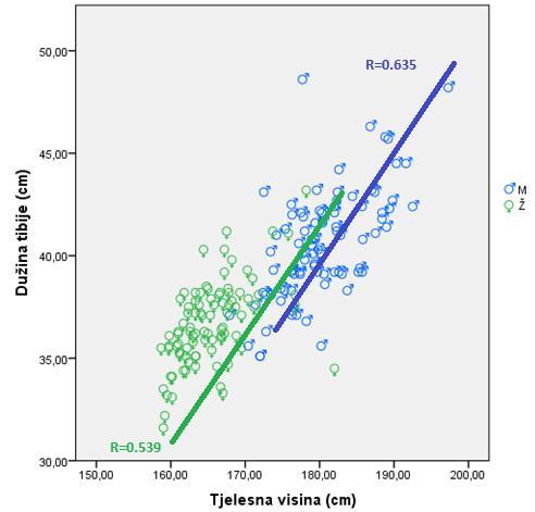 U grafikonu 23. prikazana je pozitivna linearna povezanost između dužine tibije i tjelesne visine u regionu Mitrovice, za oba pola. Grafikon 23.