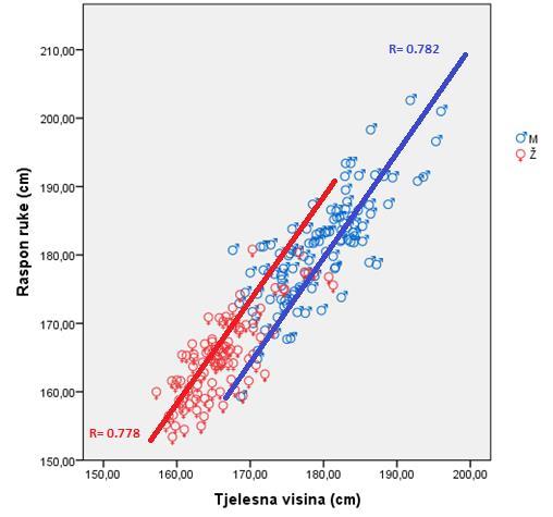 Grafikon 26. Scatter dijagram i povezanost između mjerenja raspona ruku i tjelesne visine U grafikonu 27.