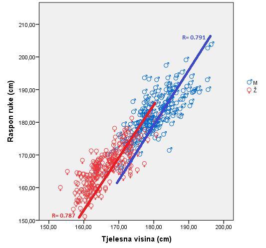 U grafikonu 28. prikazana je jaka linearna povezanost između raspona ruku i tjelesne visine u regionu Prizrena, za oba pola. Grafikon 28.