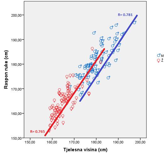 U grafikonu 30. prikazana je jaka linearna povezanost između raspona ruku i tjelesne visine u regionu Mitrovice, za oba pola. Grafikon 30.