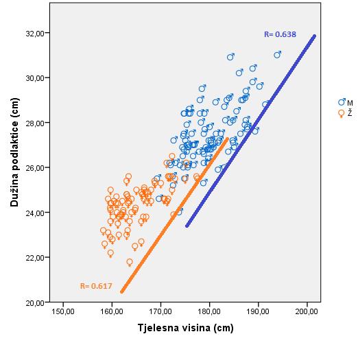 U grafikonu 33. prikazana je korelacija između tjelesne visine i dužine podlaktice u regionu Uroševca, za oba pola. Grafikon 33.