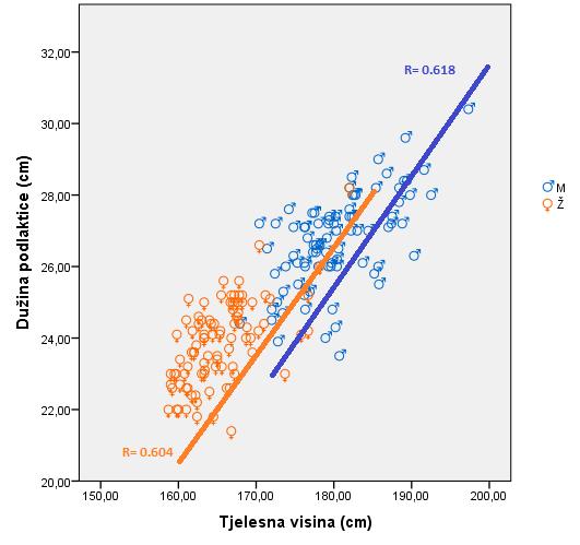 U grafikonu 37. prikazana je korelacija između tjelesne visine i dužine podlaktice u regionu Mitrovice, za oba pola. Grafikon 37.