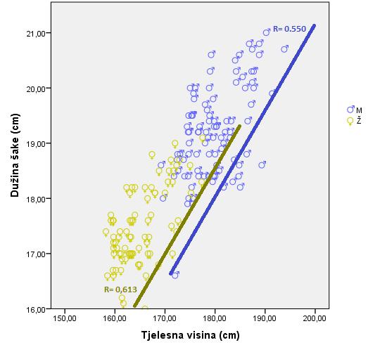 Grafikon 40. Scatter dijagram i povezanost između mjerenja dužine šake i tjelesne visine U grafikonu 41.