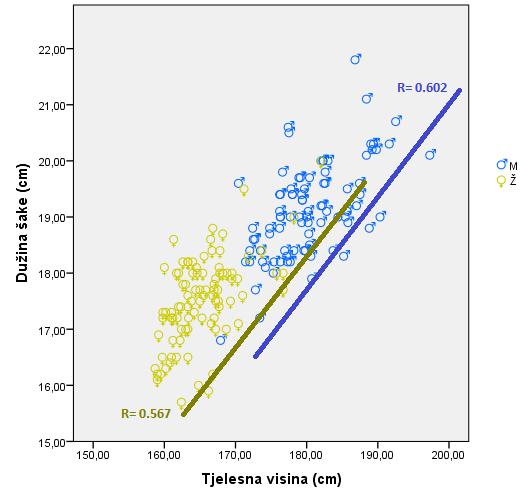 Grafikon 44. Scatter dijagram i povezanost između mjerenja dužine šake i tjelesne visine 6.3.6. Povezanost tjelesne visine sa dužinom stopala u različitim regionima U tabeli 46.