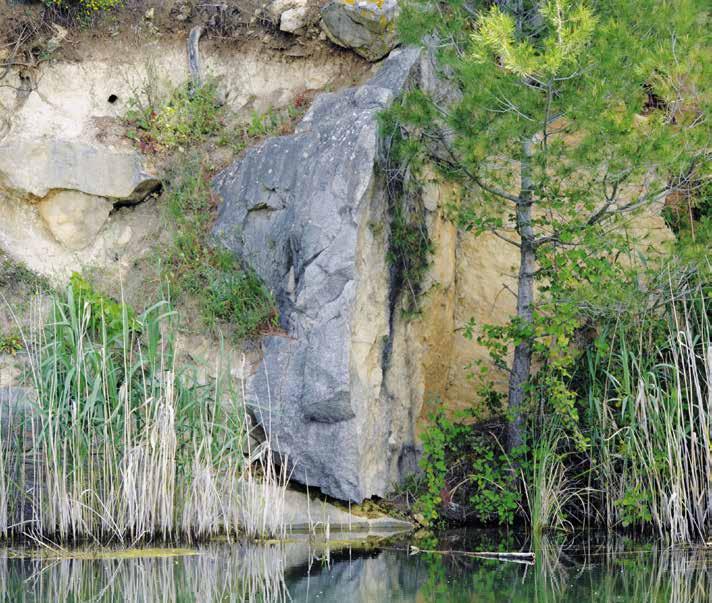 BUK Lokva Braštine Lokve su plitke, visokoproduktivne (eutrofne) stajaćice prirodnog, poluprirodnog ili umjetnog podrijetla. Prirodne lokve nastale su nakupljanjem vode na nepropusnoj podlozi.