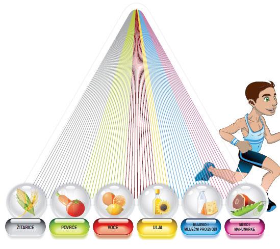 Piramida pravilne prehrane Načela pravilne prehrane prikazuje PIRAMIDA PRAVILNE PREHRANE razvrstava hranu u šest skupina, koje uz tjelesnu aktivnost, i