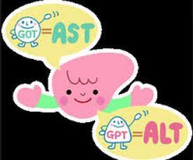 Aminotransferaze AST i ALT katalizuju sljedede biohemijske reakcije: L-aspartat