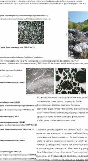 палеокарста, онкоидни биопелмикрит (СМФ-22), оолитни онкобиоинтрапелспарудит и онкобиоинтрапелспаррудит (СМФ-13 ).