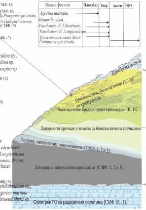 Хардгроунди указују на спечифично а драстично смање талога. Пад карбонатне продуктивности може настати и чишћењем најфинијег талога и подводним струјама.