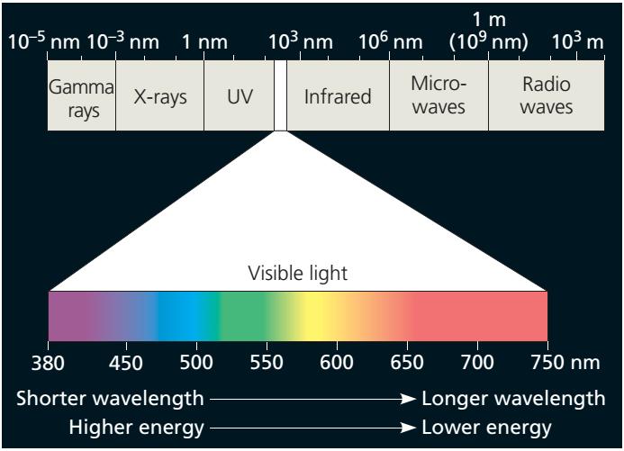 Vidljiva svjetlost i ostali oblici elektromagnetske energije širenje u obliku valova različitih valnih duljina.