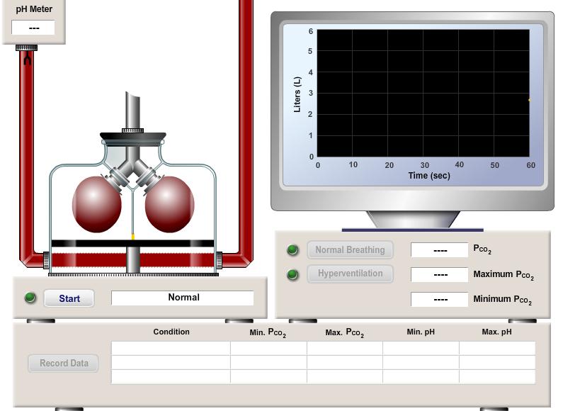 Slika 3.1. Okvir za simulaciju respiracijske acidoze i alkaloze u programu PhysioEx 9.