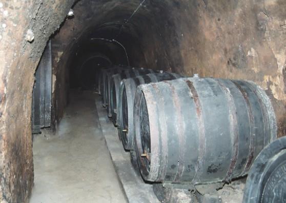 cijevi Tuneli s kolektorima