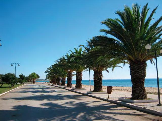 Nea Plagia Nea Plagia je letovalište u centralnom delu poluostrva Halkidiki, na obali zaliva Termaikos, oko 50 km jugoistočno od