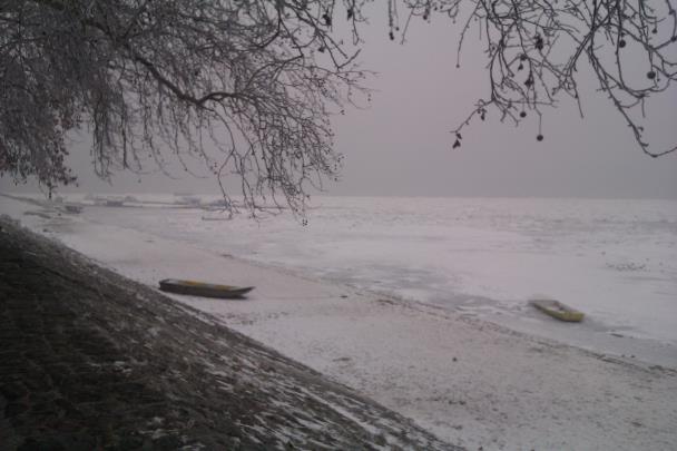 ушћа Саве у Дунав леда нема у