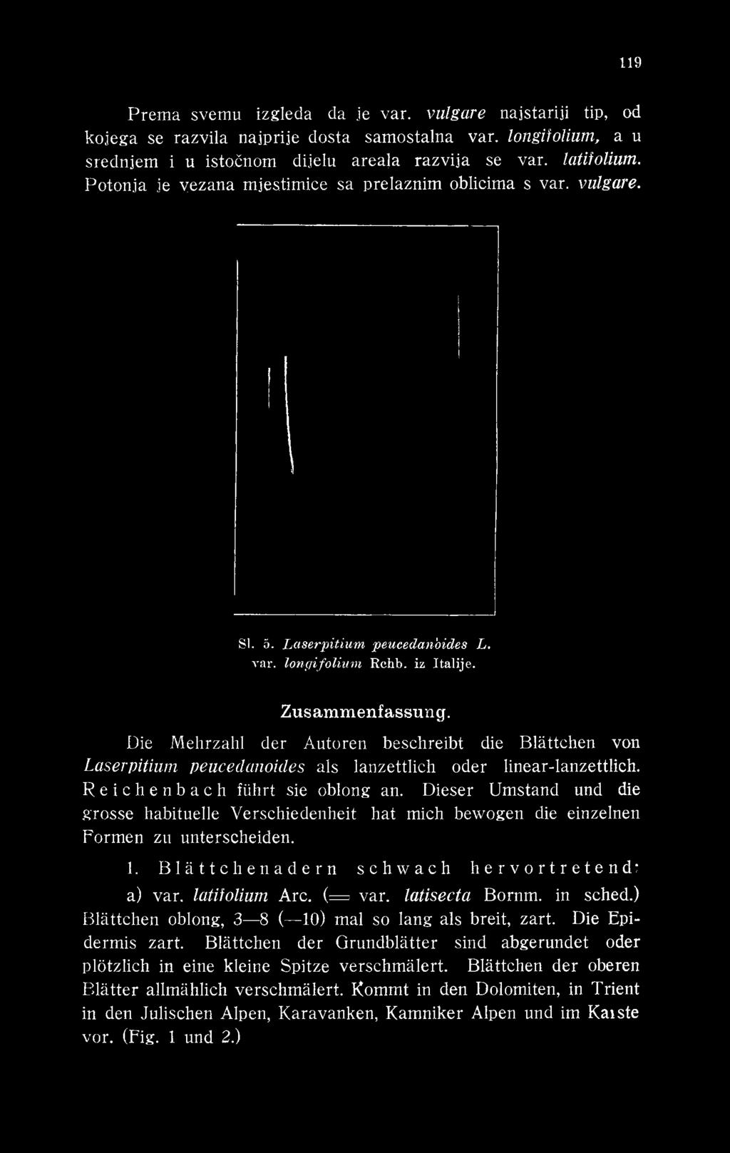 Laserpitium peucedan'oides L. var. longifolium Rchb. iz Italije. Zusammenfassung.