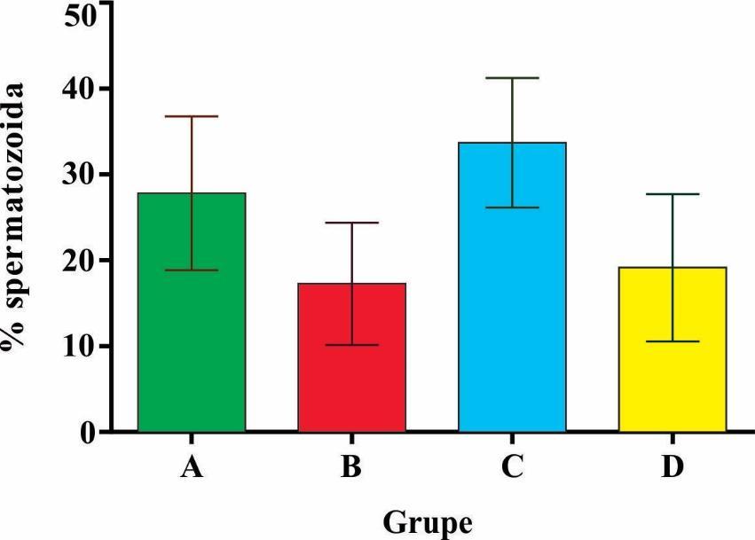 Grupa A je imala najmanje prosečne vrednosti procenta živih spermatozoida sa intaktnim akrozomom (36,27±16