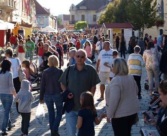 najbolje pripremimo za dolazak velikog broja gostiju u našem gradu koji dolaze na festival dobrih emocija Špancirfest 2015. Festival će ove godine biti održan od 21. do 30.