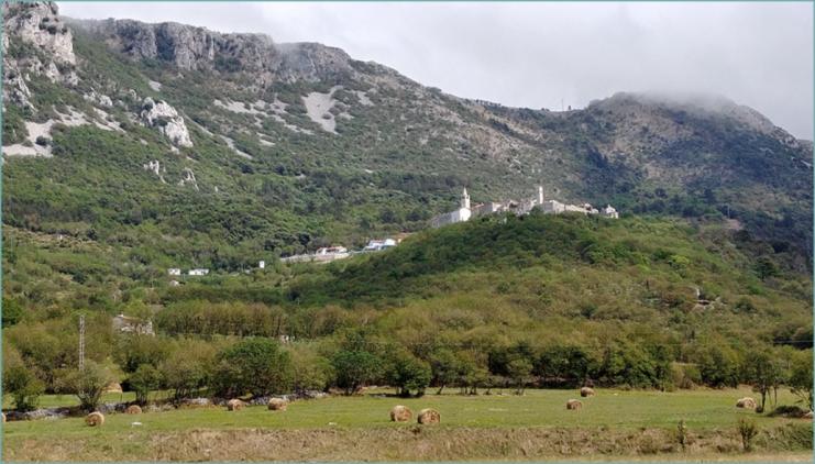 (đurđica) koja ima slične listove, jer su neki slučajevi trovanja s kobnim posljedicama već zabilježeni po Hrvatskoj.