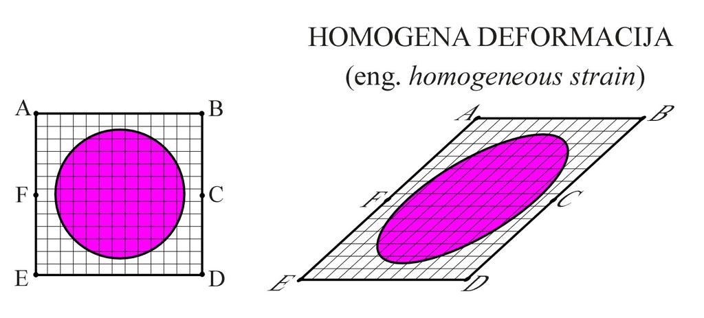 Nadalje, pri tom ćemo nastojati prepoznati je su li stijene i/ili stijenska tijela pretrpjela homogenu deformaciju.