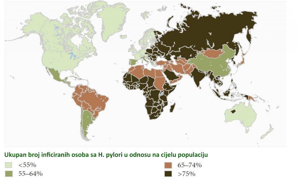 kojima će 80% tijekom života biti bez znatnijih gastrointestinalnih problema. Prevalencija infekcije je promjenjiva u različitim dijelovima svijeta.