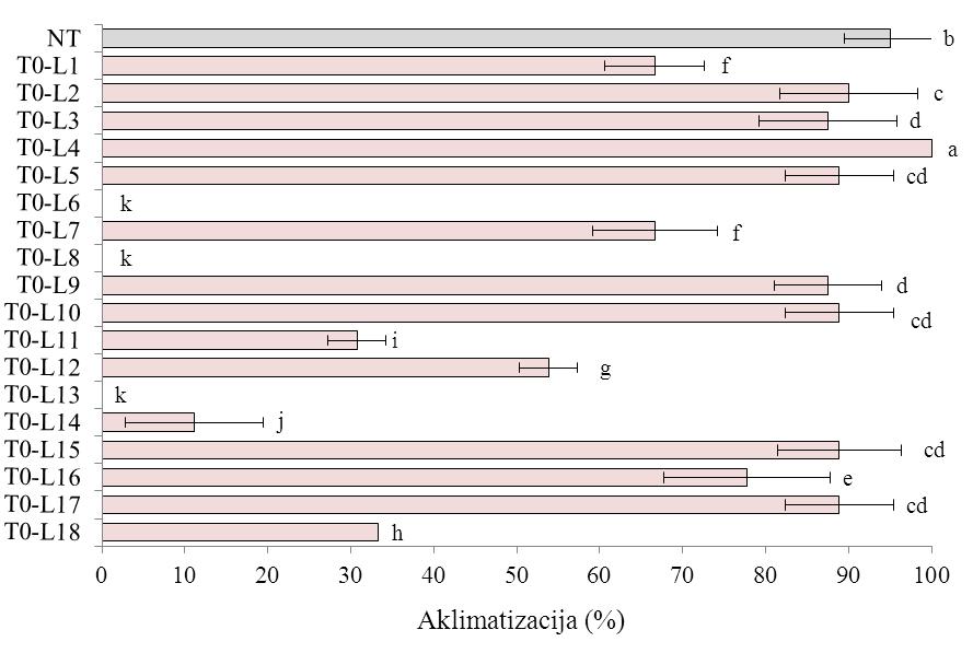 Slika 4.18. Procenat aklimatizacije netransformisanih (NT) i transformisanih T 0 biljaka karfiola. T 0 -L1-L18: transformisane linije.