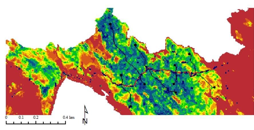 Slika 12. Prikaz područja Gorskog kotara s ucrtanim koridorima (plavo pogodno stanište, smeđe nepogodno, crno nasumično izabrane točke, tamnozeleno koridori) Slika 13.