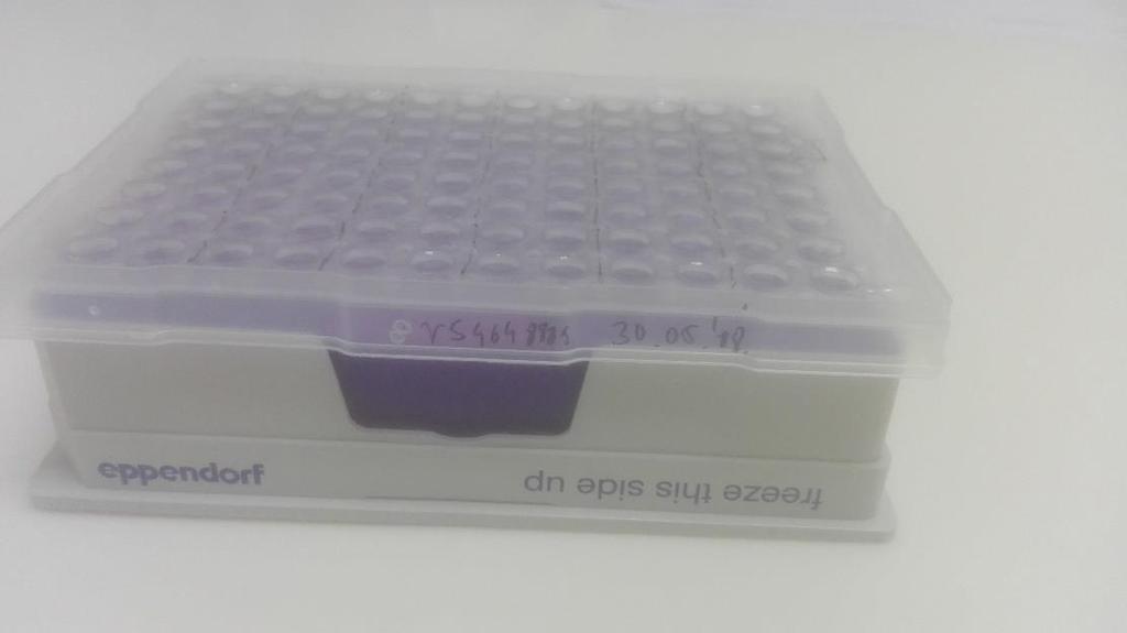 Materijali i metode ukupnoga volumena 15 ul, sadržavala je 7,5 ul TaqMan PCR MasterMix-a, 0,75 ul specifičnoga kompleta TaqMan proba i početnica te 6,75 ul DNA razrjeđenja finalne koncentracije