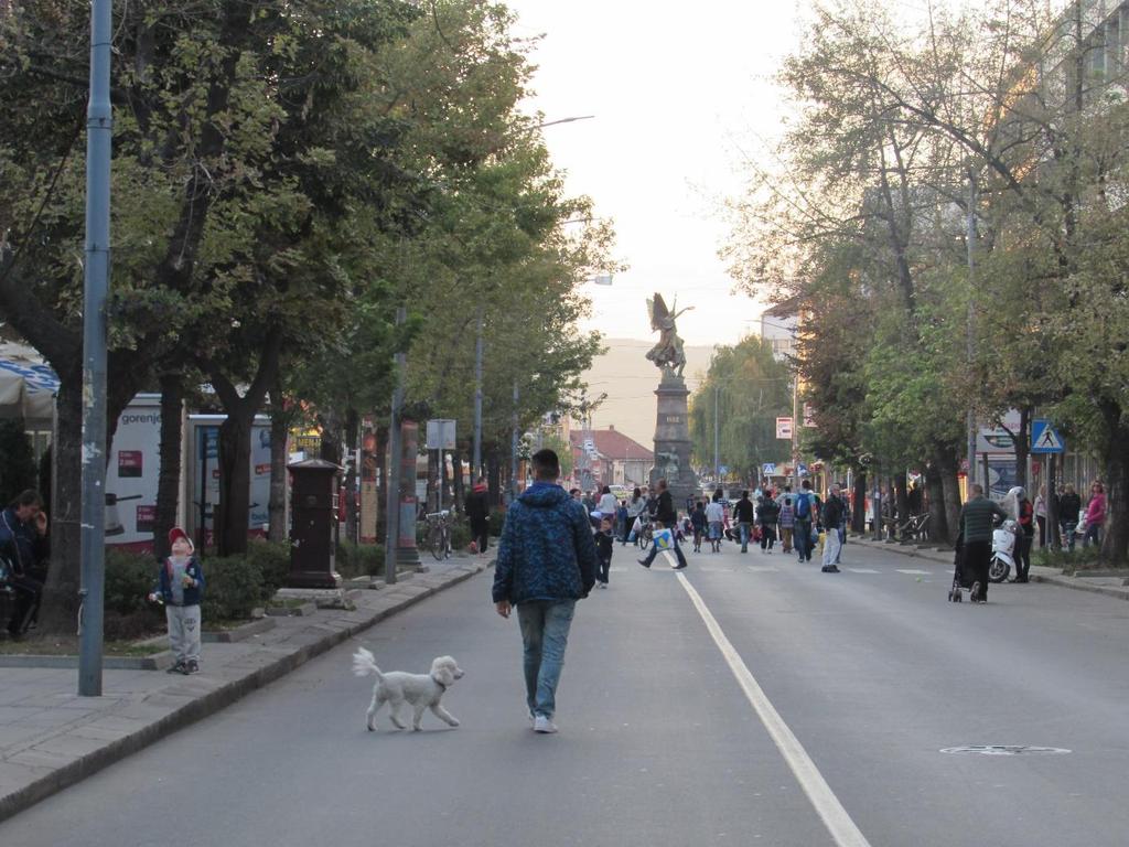 Град Крушевац План одрживе урбане мобилности 2017-2030 Ко живи пешке, дуже живи. Ко пешке крене у болницу, касније ће стићи.