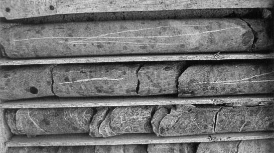 Слика бр...7 Језгра сложена у сандуку Део језгра из руде цепа се по дужини на два дела. Један део се одваја за узорак и даје на анализу, а други део тј.