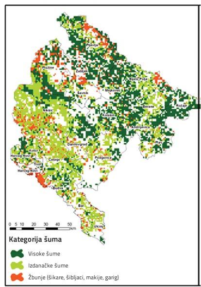 Grafikon 2.22: Rasprostranjenost visokih i izdanačkih šuma (Izvor: NIŠ, 2012) Grafikon 2.