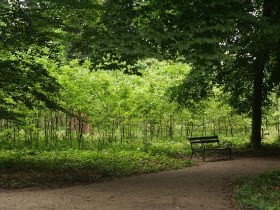 Šumska vegetacija štiti šumsko tlo od akvatične i eolske erozije svojim krošnjama, odlaganjem organskih ostataka na tlu (sloj listinca) i korijenjem.