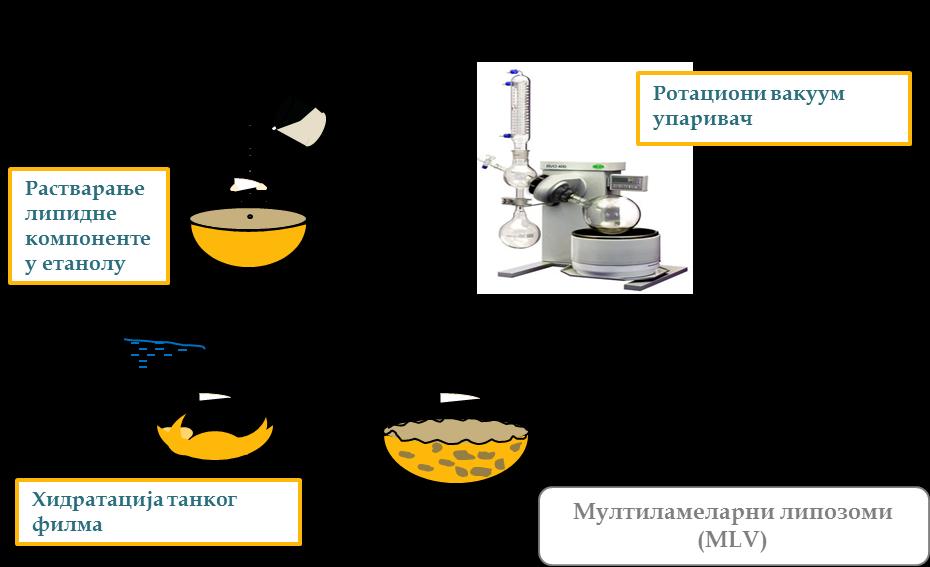 Слика 3.1. Шематски приказ методе танког филма за припрему липозома 3.2.1.3. Пролипозомна метода (PRO) Пролипозомна метода изведена је како је описано у чланку који су објавили Перет и сарадници (Perrett и сар.