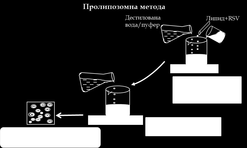 Слика 3.2. Шематски приказ пролипозомне методе за припрему липозома 3.2.1.4. Смањење величине липозома У циљу смањења величине липозома као и ламеларности примењене су екструзија (енгл.