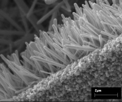 Debljina i širina trakaste forme ZnO je uniformna duž čitave dužine čestice i može varirati od nekoliko stotina nanometara do nekoliko desetina mikrometara 60,61. Slika 1.13.