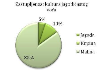 P a g e 43 Zbog potencijala za rast sektora jagodičastog voća u široj regiji, uključujući i susjedne opštine u Srbiji, od 2005.