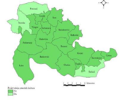 P a g e 45 Povrtarstvo zauzima 13% ukupne biljne proizvodnje i odvija se na oko 167 hektara obradivih površina. Najvažnije povrtarske kulture su krompir, grah, krastavac, paradajz, paprika, luk.