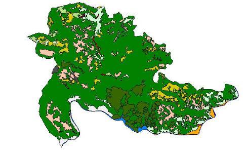 P a g e 54 sprečavanje klimatskih promjena i erozivnih procesa. Na taj način, doprinose stvaranju stabilne i zdrave životne sredine. Višegrad obliuje sa bor, jela, smrča, hrast, bukva, grab itd.