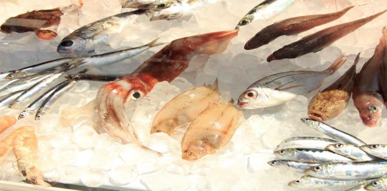 Stavljanje na tržište proizvoda ribarstva i akvakulture ( Narodne novine, broj 136/2015) temeljem Pravilnika o uvjetima, kriterijima i načinu dodjele potpore u okviru mjere IV.3. Stavljanje na tržište proizvoda ribarstva i akvakulture ( Narodne novine, broj 107/2015 i 129/2015).