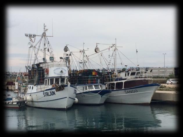 18 Pravilnik o dopuni Pravilnika o prostornom i vremenskom ograničenju obavljanja gospodarskog ribolova na moru okružujućom mrežom plivaricom srdelarom u 2015.