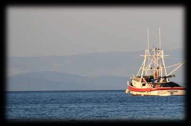 19 Pravilnik o prostornom i vremenskom ograničenju obavljanja gospodarskog ribolova na moru okružujućom mrežom plivaricom srdelarom u 2016. godini Dana 31. prosinca 2015.